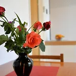 Viola Apartment Betina (Sibenik-Knin)