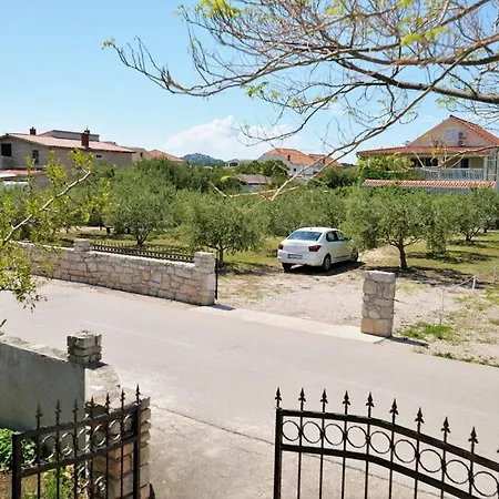 Viola * Betina (Sibenik-Knin)