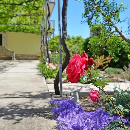 Viola Apartment Betina (Sibenik-Knin)