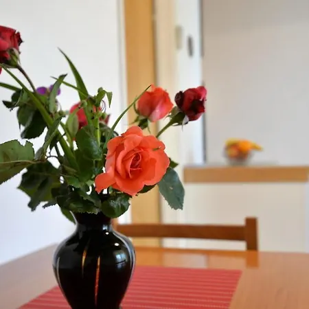 Viola Apartment Betina (Sibenik-Knin)