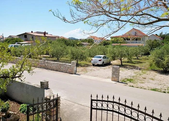 Viola * Betina (Sibenik-Knin)